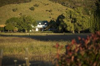 Jacaranda Lodge - Coromandel - 6