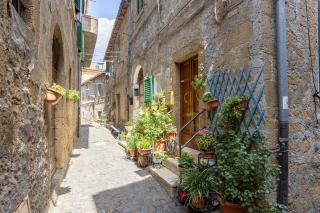 Heart House Maremma - Farnese - 8