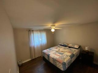 Kingston Comfort Hub - Kingston - 5