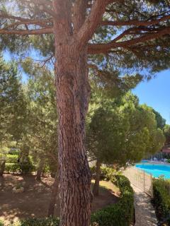 Appartement vue Piscine sous les Pins - Le Cap d'Agde - 6
