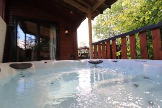 Balquhidder Braes Holiday Park Lodges, mostly with Hot Tubs and pet friendly, EV facilities - 4