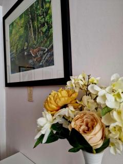 Breeze B&B - Llandudno - 2