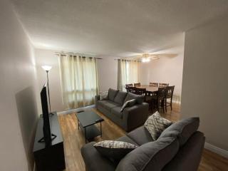 Kingston Comfort Hub - Kingston - 0