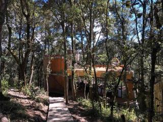 Chalet nordico enmedio del bosque - Mineral del Monte - 2