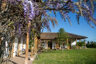 Casa Mario Bed & Breakfast - - 8