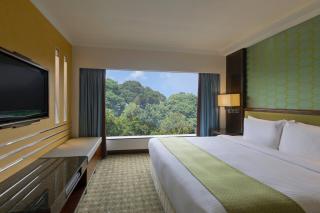 Holiday Inn Singapore Orchard City Centre by IHG - 4