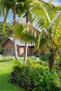 Peace-Realm Retreat - Matakana - 3
