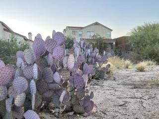 Private Home - Billiards, Mountain Views, Private Desert Access, HOA Pool & Spa, BBQ, at Lambert Park - Bourbondale - Tucson - 8