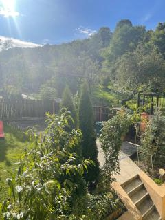 Casa Galbena - 9