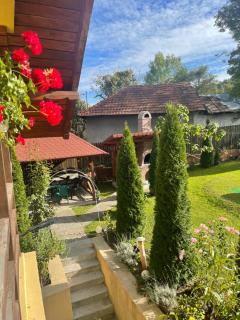 Casa Galbena - Slănic - 8