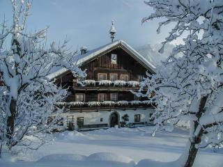 Hinterburghof - Saalfelden am Steinernen Meer - 0