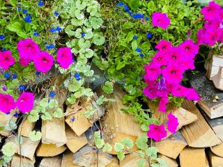 Chalet Schmitten 102 by Chalet Alp Lux - Zell am See - 9