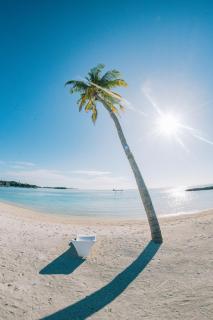 The Bilimbi Guesthouse & Inn - Huraa - 1