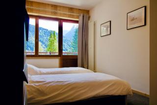 Cocon la Plagne - Morzine - 2