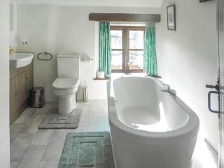 Rowes Farm - Marytavy - 6