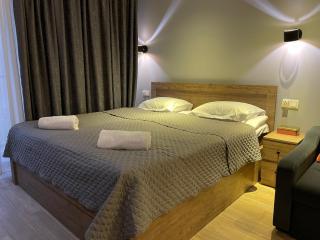 SkyWay Twins Studio Gudauri - Gudauri - 5