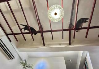 Sun Moment 鬆貓們民宿 - Toucheng - 2
