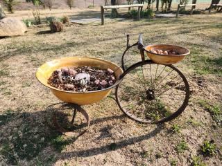 Weaver's Nest Country Inn - Wakkerstroom - 4