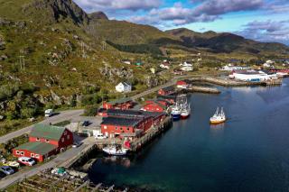 Fish factory -The real Lofoten experience - 8