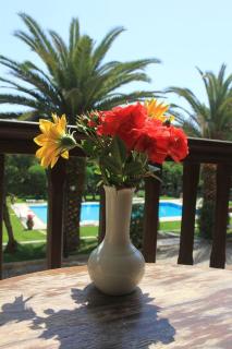 Fiori Hotel - Gouvia - 4