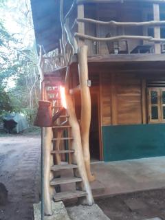 Wilpattu Jungle Resort - Nochchiyagama - 2