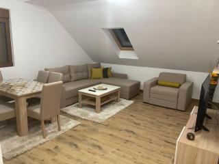 GRAS Apartmani Zlatibor - Zlatibor - 4