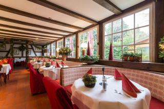 Thermen Hotel & Restaurant Bad Soden - Bad Soden am Taunus - 5