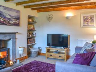 Alpine Cottage - Carperby - 8