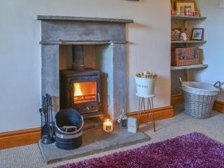 Alpine Cottage - Carperby - 6