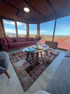 Large luxury Cabin On The Golden Circle Next To Kerið The Crater. - 2
