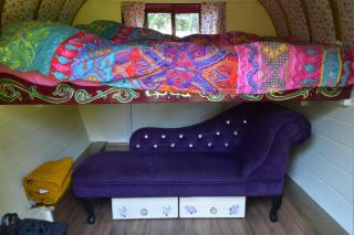 Gypsy Sunrose - 7