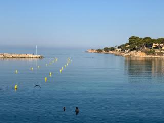 L'excelsior - Bandol - 3