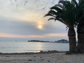 L'excelsior - Bandol - 2