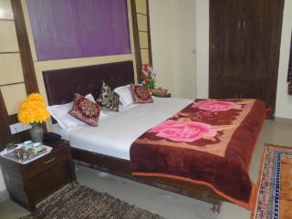 HOTEL DARPAN PALACE -New Delhi Railway Station - New Delhi - 8