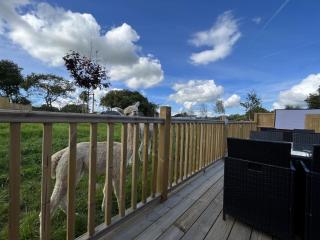 Sunrise Dome Tent - 4