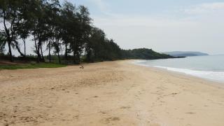Peace Garden Beach Resort - 4