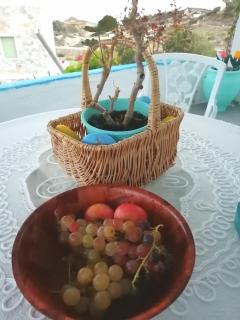 Rou Garden House - Karpathos - 6
