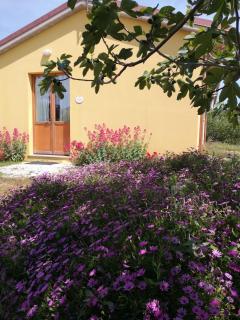 Agriturismo I Ciliegi Appartamento Ginestra - 9