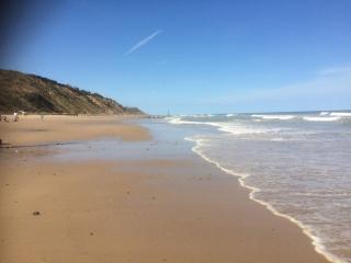 Driftwood - Mundesley - 6