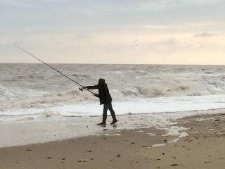 Driftwood - Mundesley - 4