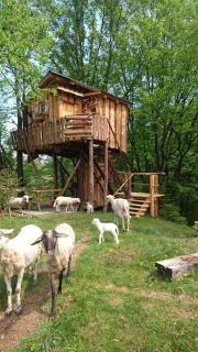 Treehouse Toplak - Ruše - 0