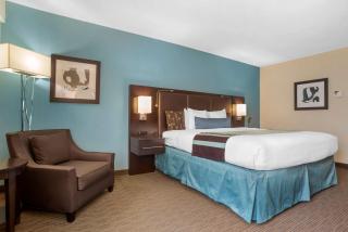 Best Western Plus Tallahassee North Hotel - Tallahassee - 7