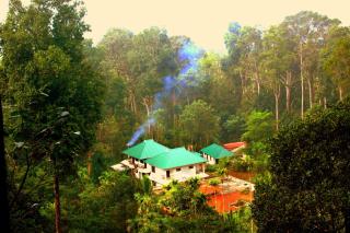 Green Shades - Munnar - 0