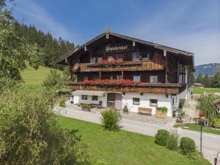 Hohe Salve XL - Hopfgarten im Brixental - 1