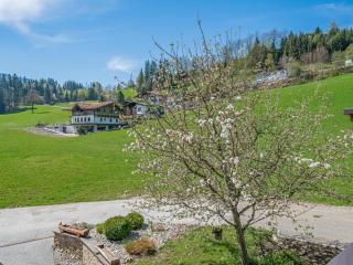 Hohe Salve L - Hopfgarten im Brixental - 5