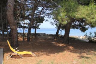 Family friendly seaside apartments Ugljan - 828 - Ugljan - 4