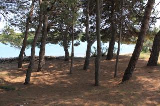 Family friendly seaside apartments Ugljan - 828 - 3