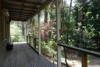 Holly Lodge - Medlow Bath - 5