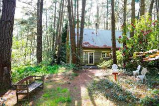 Holly Lodge - Medlow Bath - 1