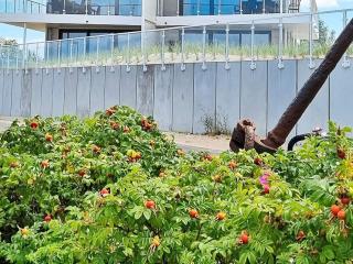 6 Personen Ferienhaus in Wendtorf - 5